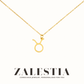Zodiac Symbol Necklace